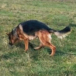 Seznam klade��